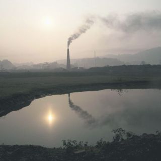 La biodiversidad cae a nivel mundial debajo de lo aconsejable