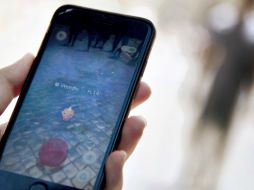 Ya se han registrado numerosos incidentes relacionados con el nuevo juego. AFP / T. Fabi