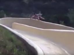 David Salmon toma el tobogán y en la curva más pronunciada no logra mantenerse dentro del canal y cae. YOUTUBE / NEWS ONLINE