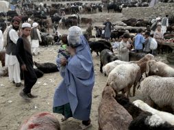 El portavoz del ministerio afgano precisa que el número de víctimas fatales podría aumentar. AP / ARCHIVO