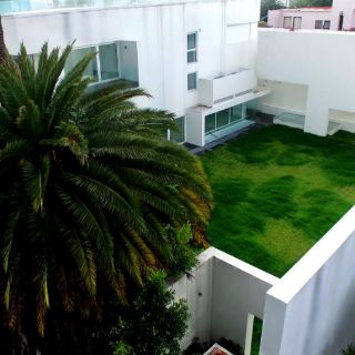 La 'Casa Blanca' de Angélica Rivera, en franco deterioro