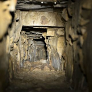 Hallan sistema hidráulico en Palenque