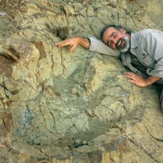 Hallan en Bolivia huella de dinosaurio de 1.2 metros de diámetro