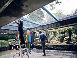 Personas fueron para indagar sobre la muerte del gorila Bantú e intentaban investigar con guardias de seguridad. SUN / ARCHIVO