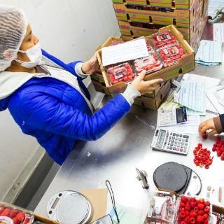 Suspenderán operaciones 13 empresas en México: AmCham