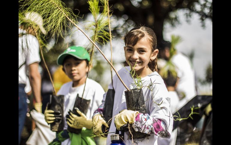 La reforestación es uno de los aspectos en los que se busca crear conciencia social en México. EL INFORMADOR / Archivo