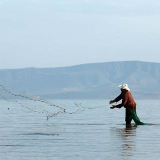 Pescadores acusan uso de redes ilegales en Lago de Chapala