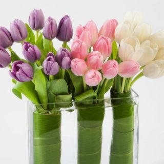 Compra y envío de flores, pilar del comercio electrónico en México