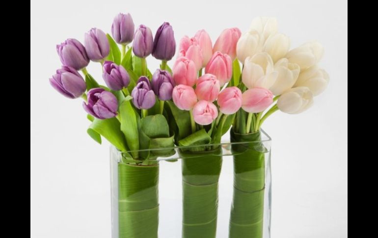 La venta en línea productos locales, impulsa el crecimiento de las pequeñas y medianas empresas lo que ayuda a la economía ESPECIAL /