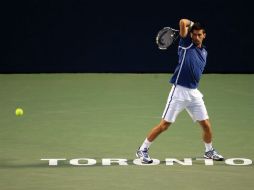 Djokovic domina abrumadoramente en el historial contra Berdych, con 24 victorias en 26 partidos. AFP / V. Ridley