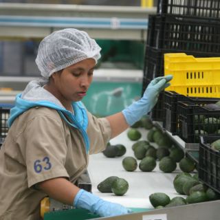 Jalisco triplica su producción agrícola en una década