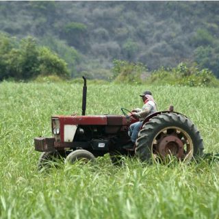 Jalisco garantiza abasto en productos de canasta básica