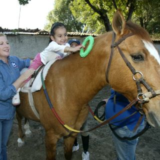 Equinoterapia, alternativa para padecimientos físicos o psicológicos