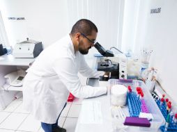 Se necesitan diversas pruebas científicas, así como el cumplimiento de diversas normas de salud para lanzarlo al mercado. EL INFORMADOR / ARCHIVO