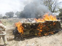 Personal especializado verifica que el procedimiento se lleve a cabo con apego a la normatividad en la materia. EL INFORMADOR / ARCHIVO