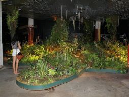 En el 'Lowline Lab' de prueba se pueden apreciar hasta tres mil tipos de plantas distintas. EFE / E. Serra