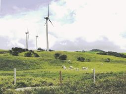 Las Torres del Viento de La Chiripa en el verde lomerío de Costa Rica. EL INFORMADOR / P. Fernández Somellera