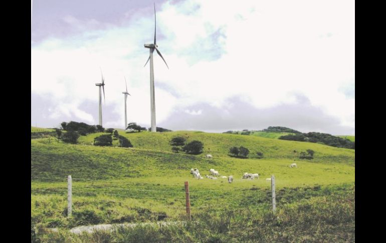 Las Torres del Viento de La Chiripa en el verde lomerío de Costa Rica. EL INFORMADOR / P. Fernández Somellera