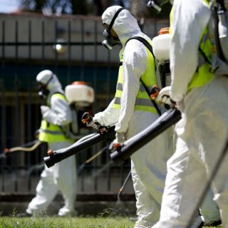 EU emite alerta de viajes a área de Miami con zika autóctono