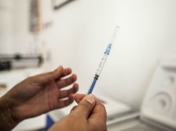 La fiebre amarilla es transmitido por la picadura de mosquitos del género Aedes, perteneciente a la familia del dengue. EL INFORMADOR / ARCHIVO