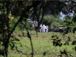 'Todo apunta' que la ejecución de 10 personas que aparecieron calcinadas 'la ordenó un presidente municipal': gobernador de Michoacán. EFE / ARCHIVO
