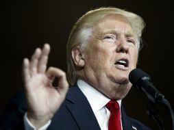 En los últimos sondeos, el magnate pierde popularidad frente a la candidata demócrata, quien lidera las listas. AP / E. Vucci