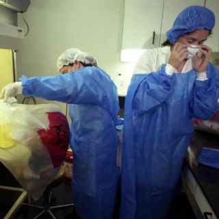 Alertan por nuevo brote de ántrax en Rusia