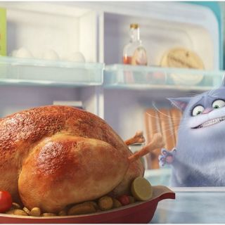 Anuncian secuela de 'La vida secreta de tus mascotas'