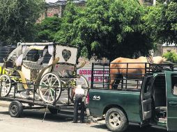 Diez calandrieros se adelantaron al día que había sugerido el Ayuntamiento tapatío y desde ayer regresaron al Centro Histórico. ESPECIAL /