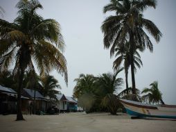 En Quintana Roo emitieron alerta naranja en cinco municipios por 'Earl'. NTX / ARCHIVO