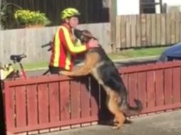 El dueño del perro agradece al cartero que cada día se dé tiempo para acariciar a su mascota. FACEBOOK / Michael Collins