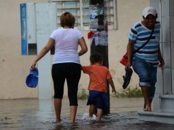 Las dependencias federales tienen activos todos sus protocolos con los consejos estatales, quienes están en sesión permanente. EFE / L. Monroy
