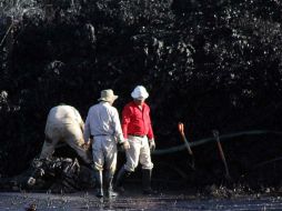 A pesar de que las autoridades han detectado varios puntos de extracción ilegal, aún no hay detenidos. SUN / ARCHIVO