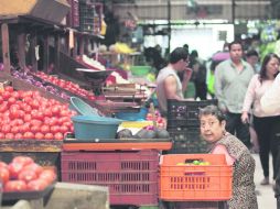 Reparto. A más tardar durante la última semana de agosto concluirá la entrega de apoyos. EL INFORMADOR / F. Atilano