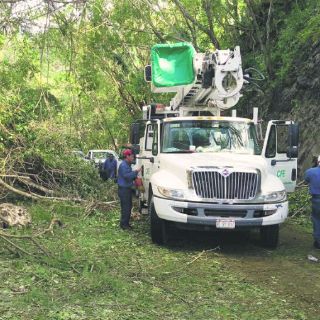 Alistan la plantación de 8.4 millones de árboles en el Estado