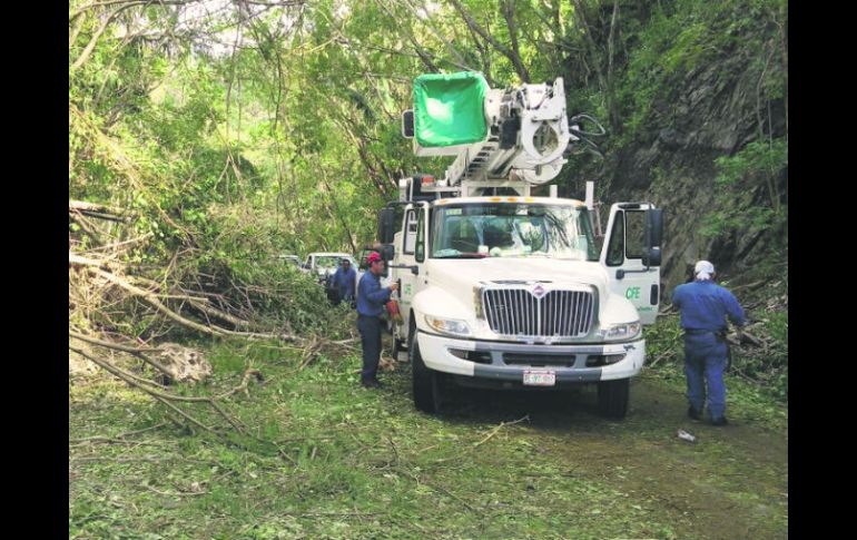 El huracán 'Patricia', que afectó las costas de Jalisco en 2015, causó severos daños en el arbolado de nueve municipios. EL INFORMADOR / H. Escamilla