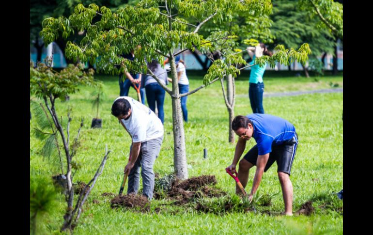 Los voluntarios recibieron una capacitación para hacer el trabajo de forma adecuada. EL INFORMADOR / ARCHIVO