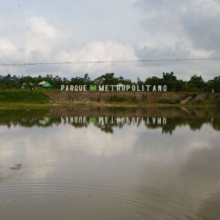 Planta y sistema de riego del Metropolitano, en última fase