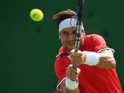 Después del partido, Ferrer reveló que tenía ''molestias en el talón de Aquiles derecho'', pero dice que su derrota no se debe a ese pr AFP / R. Schmidt