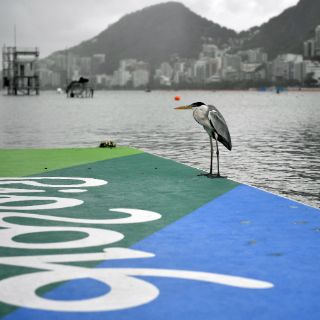 Cancelan jornada de remo por la lluvia y el viento en Río