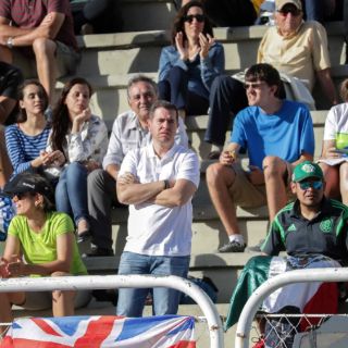 El PRI pedirá cuentas a Alfredo Castillo