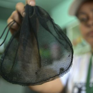 Declaran estado de emergencia en Puerto Rico por zika