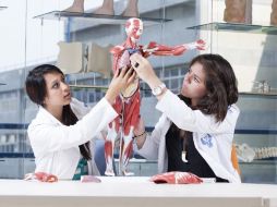 Aquiere mayor importancia formar las características que permiten a una persona trabajar en equipo. ESPECIAL /