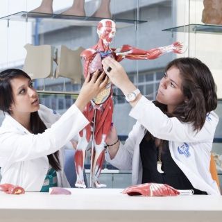 Refuerza tus habilidades para aprender