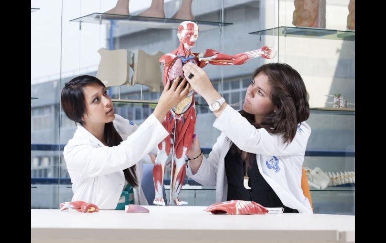 Aquiere mayor importancia formar las características que permiten a una persona trabajar en equipo. ESPECIAL /