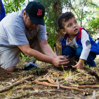 Asociación Extra planta árboles en peligro de extinción