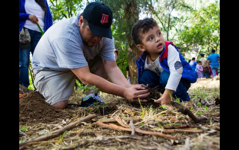 Félix Rodríguez y su hijo Itzae fueron parte de las 60 personas que acudieron a plantar Agritos. EL INFORMADOR / P. Franco