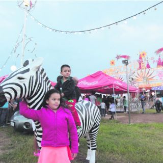 Analizan cambios a la ley para regresar animales a los circos