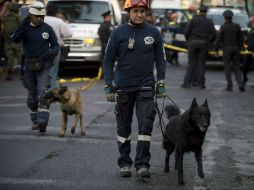 Hasta el momento se desconocen las causas del siniestro y la investigación está a cargo de la Fiscalía. AFP / ARCHIVO