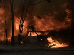 En el sur de California, los meteorólogos prevén un elevado riesgo de incendio por la ola de calor y los vientos racheados. AP / J. Edelson